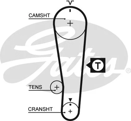 Timing Belt