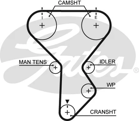 Timing Belt