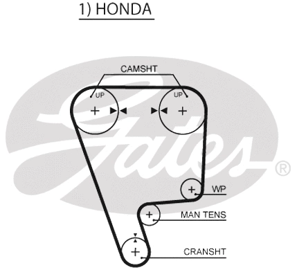 Timing Belt