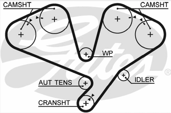 Timing Belt