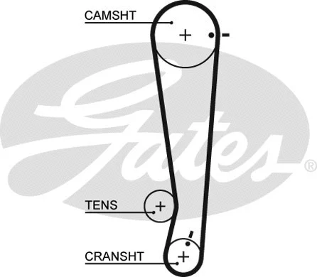 Timing Belt