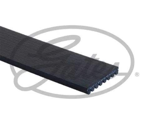 V-Ribbed Belt