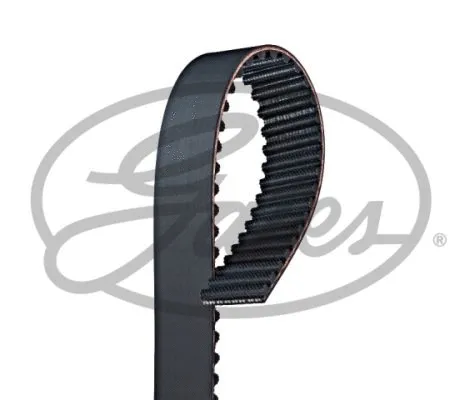 Timing Belt (T207)