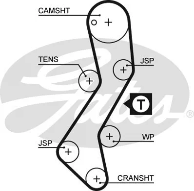 Timing Belt