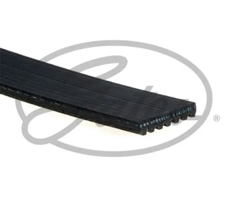 V-Ribbed Belt