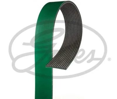 V-Ribbed Belt (12PK1507HD)