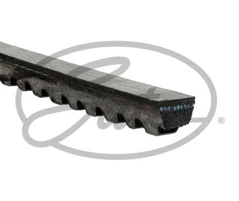 V-Belt