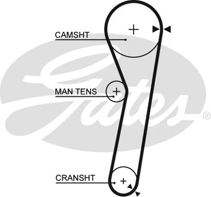 Timing Belt