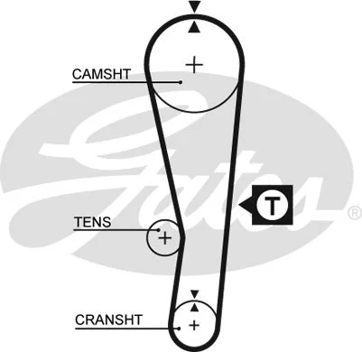 Timing Belt