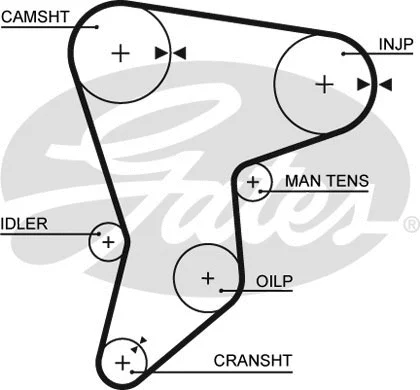 Timing Belt
