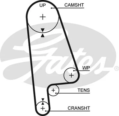 Timing Belt