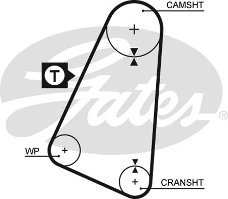 Timing Belt
