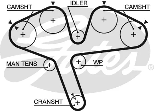 Timing Belt