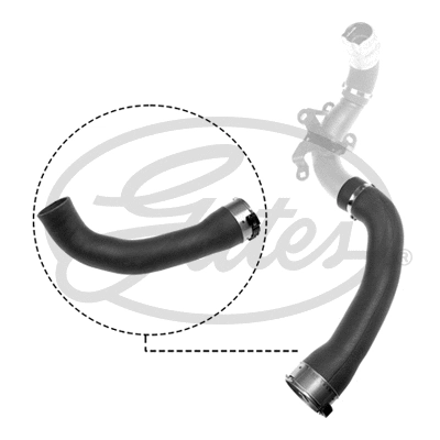 Charge Air Hose (09-1034)