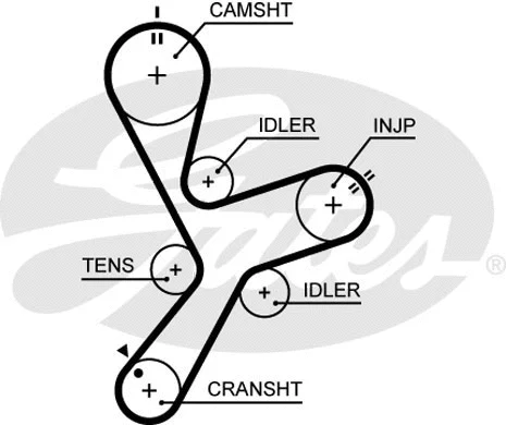 Timing Belt
