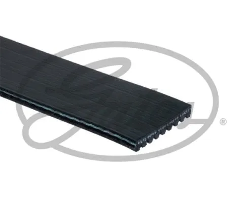 V-Ribbed Belt