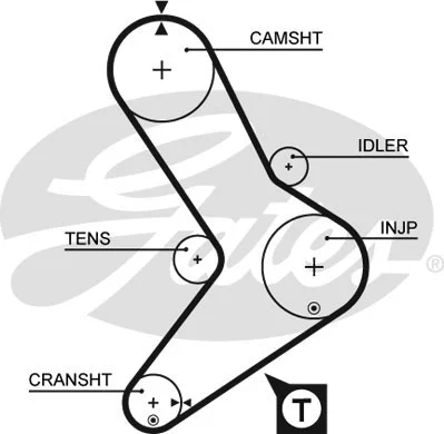 Timing Belt