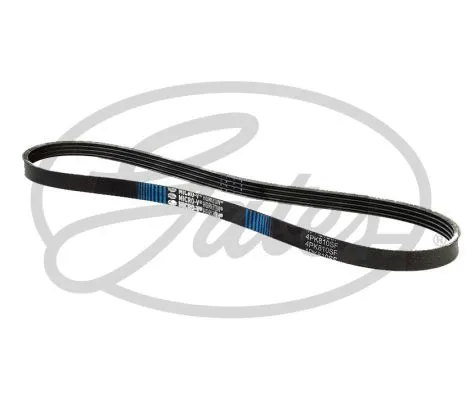 V-Ribbed Belt (4PK810SF)