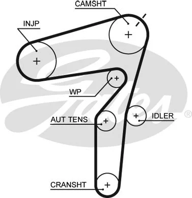 Timing Belt