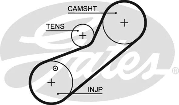 Timing Belt