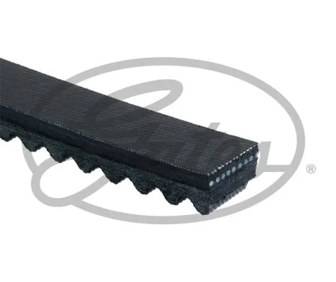V-Belt