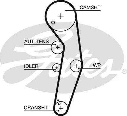 Timing Belt
