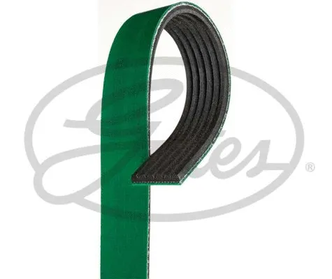 V-Ribbed Belt (6PK1054HD)