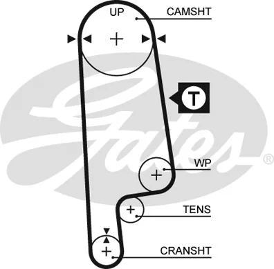 Timing Belt