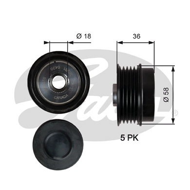 Alternator Freewheel Clutch (OAP7214)