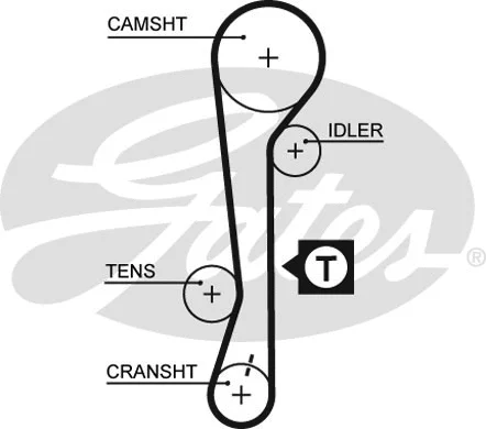 Timing Belt
