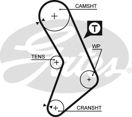 Timing Belt