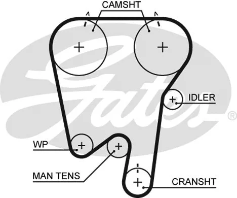 Timing Belt