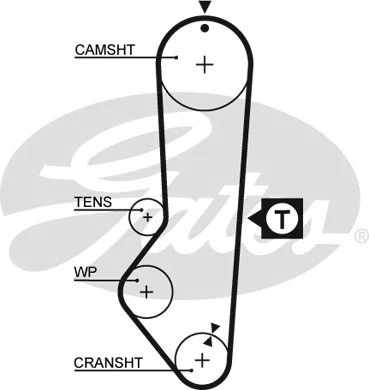 Timing Belt