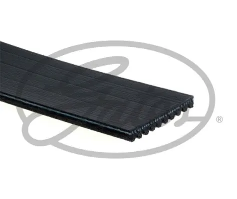 V-Ribbed Belt