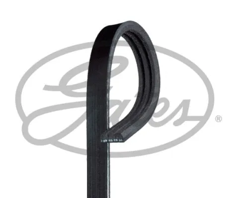 V-Ribbed Belt (3PK576SF)