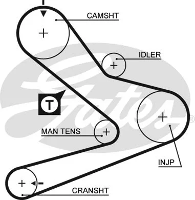 Timing Belt