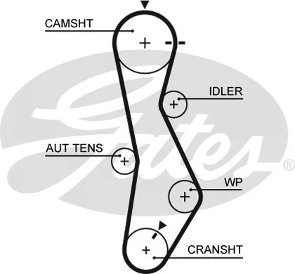 Timing Belt