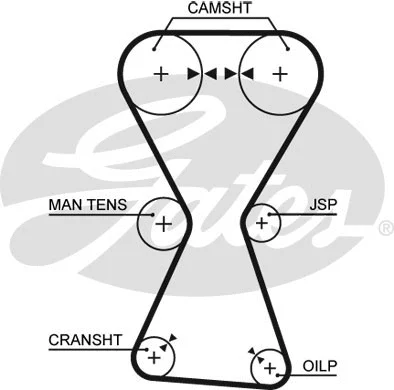 Timing Belt