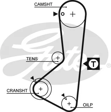 Timing Belt