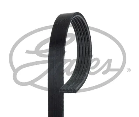 V-Ribbed Belt (5PK1100)