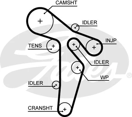 Timing Belt