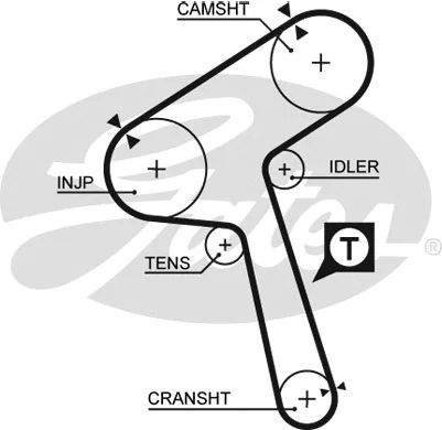 Timing Belt