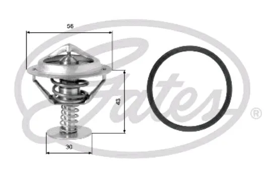 Thermostat, coolant (TH05377G1)