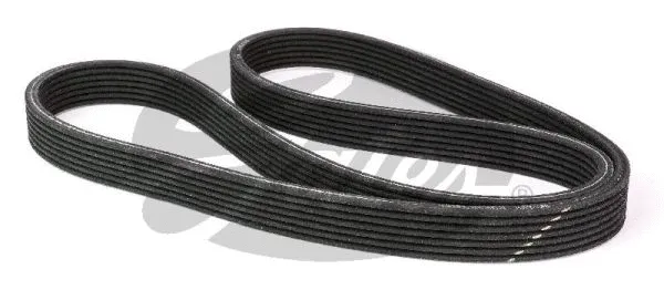 V-Ribbed Belt