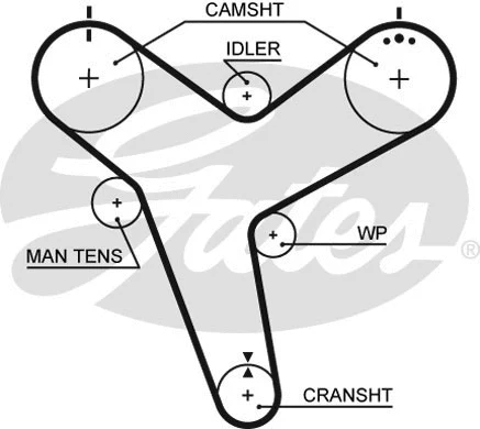 Timing Belt