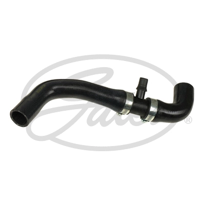 Radiator Hose (05-3497)