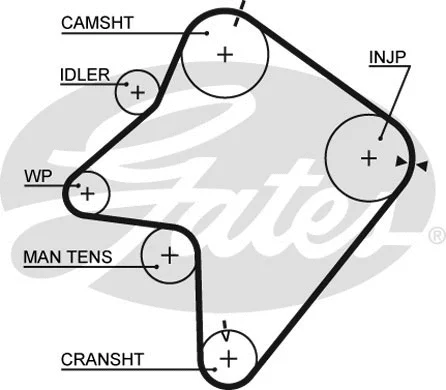 Timing Belt