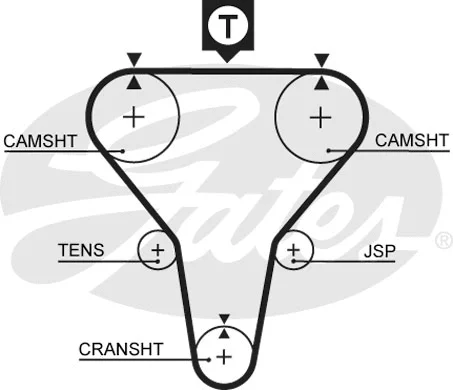 Timing Belt