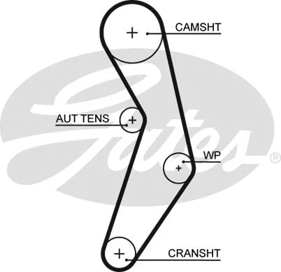 Timing Belt