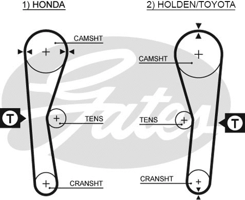 Timing Belt